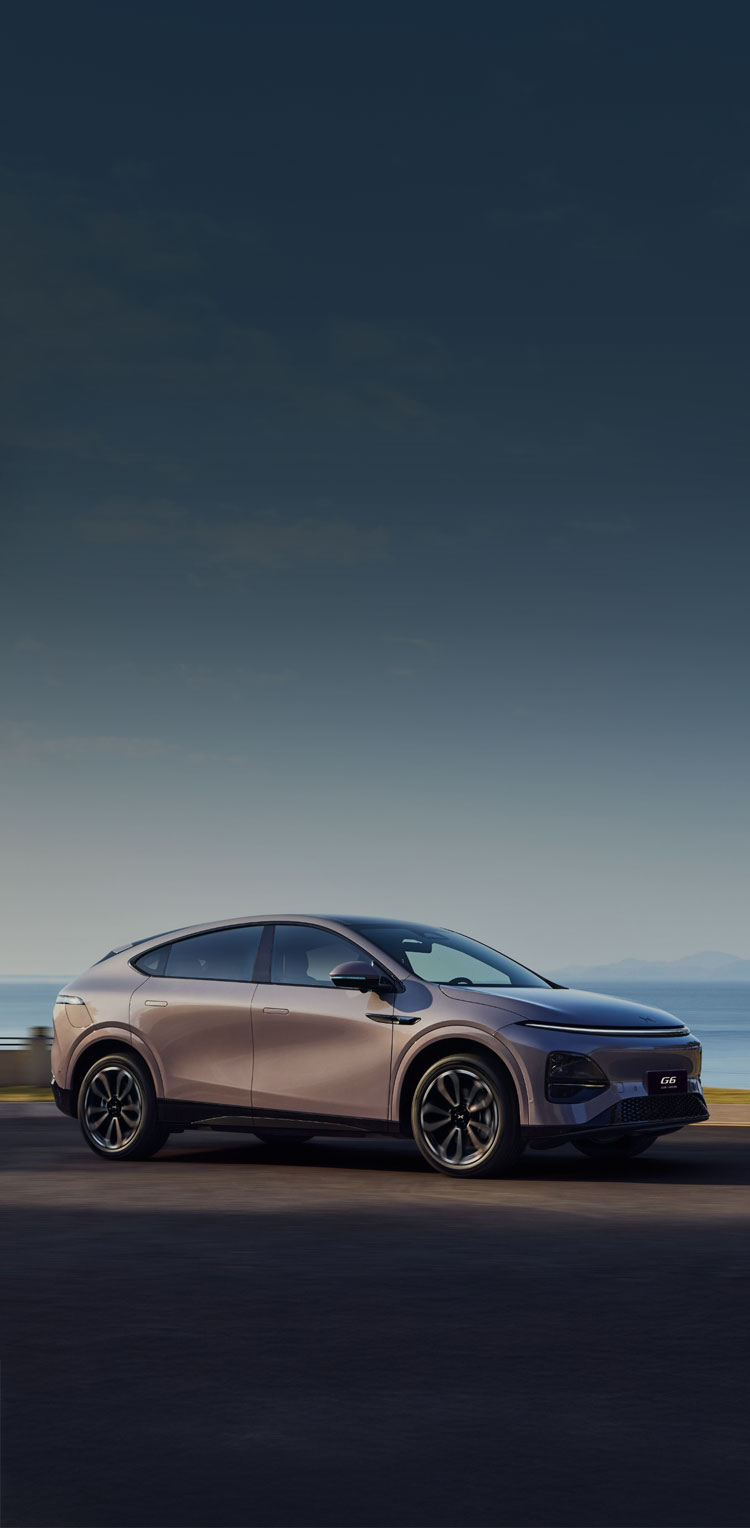 מבט פרופיל צד על אקספנג G6